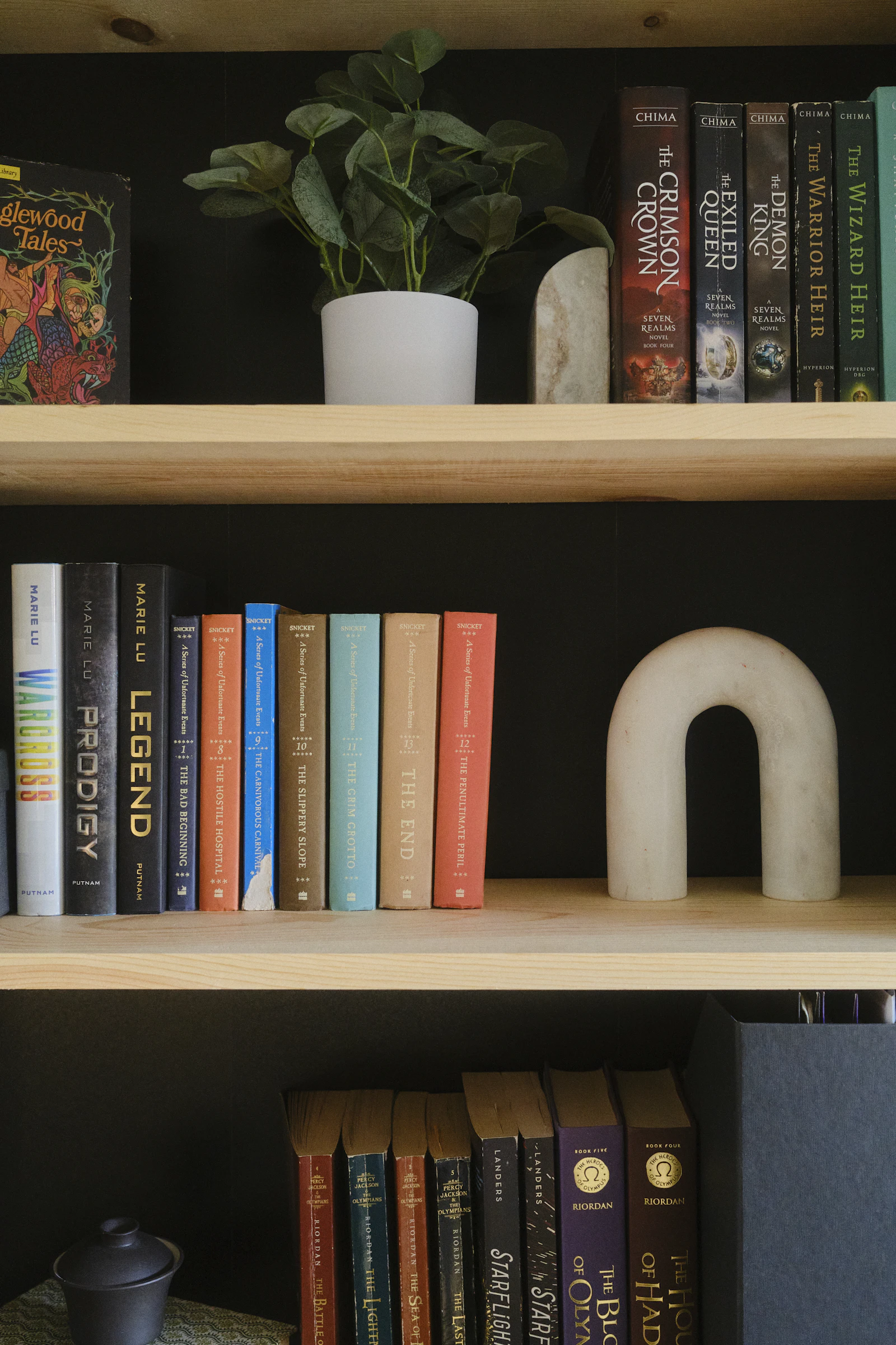 Wooden shelves holding books, a trailing plant and ceramic objects