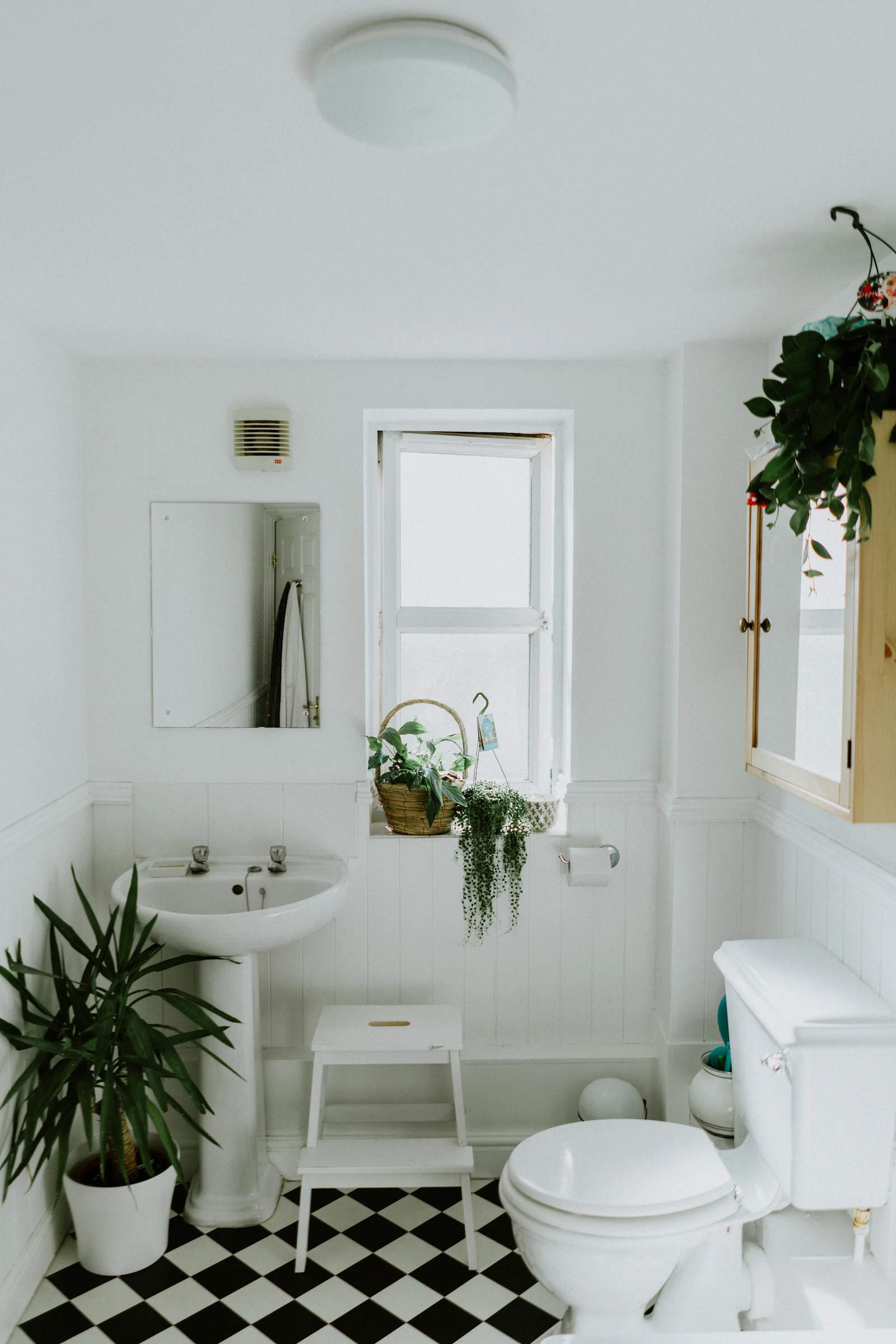 White bathroom with a pedestal basin, panelled walls, a frosted window, plants and a black-and-white checked floor