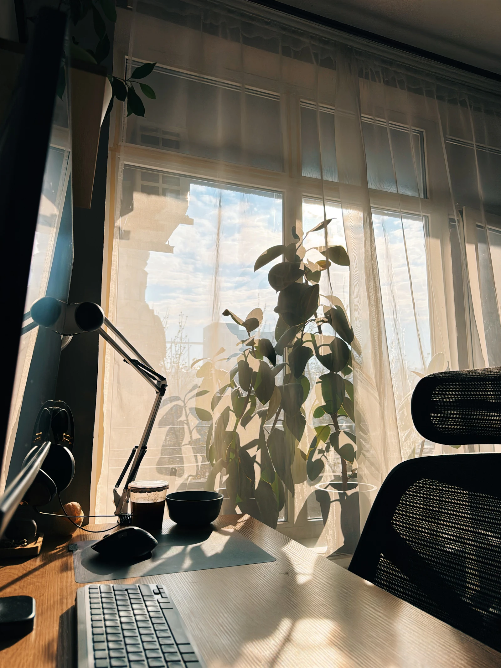 Desk with plants placed beside a sunlit window
